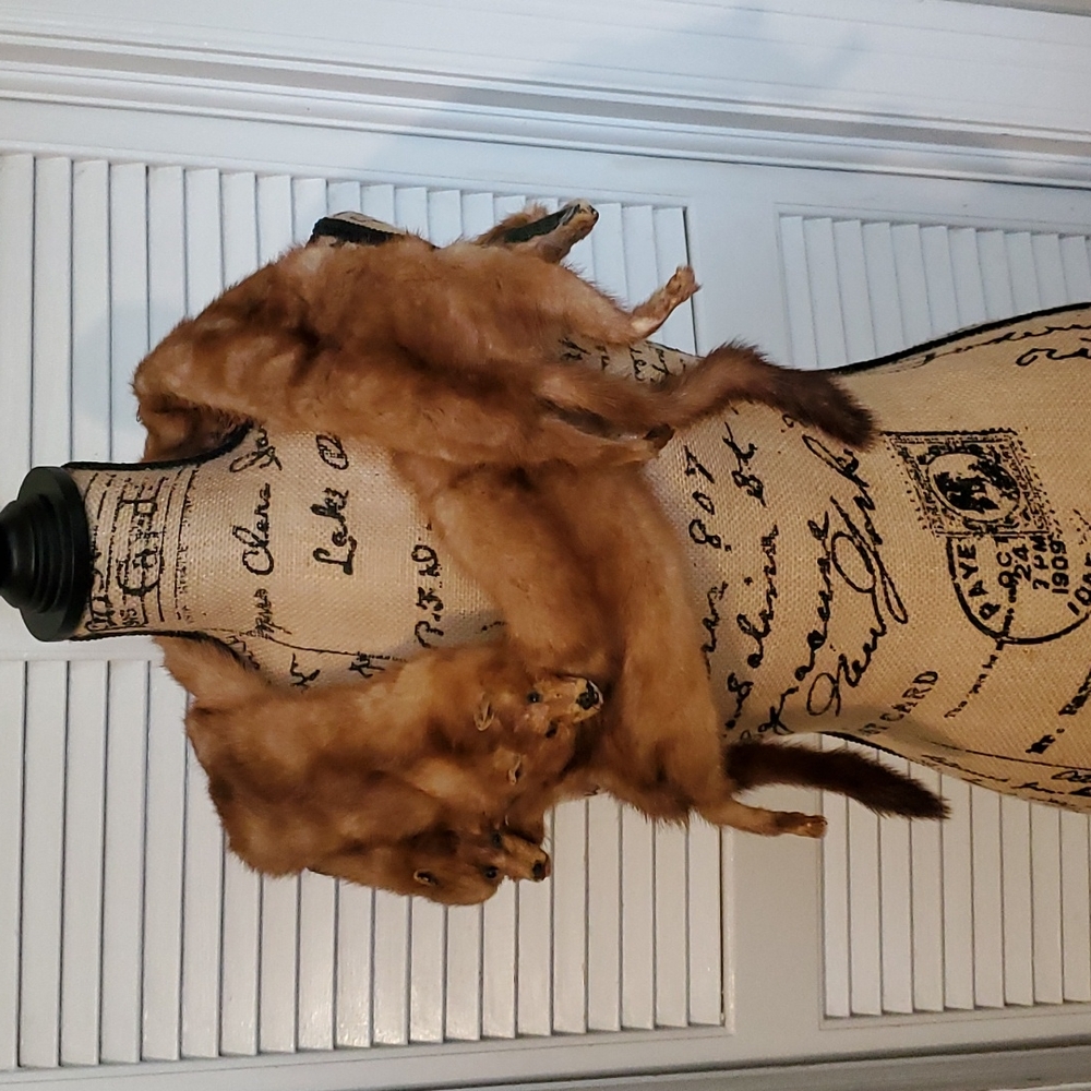 Vintage Mink stole